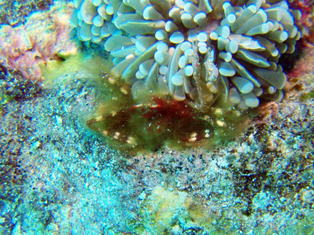 f0014842_18195450.jpg