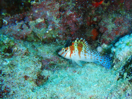 f0014842_1820840.jpg