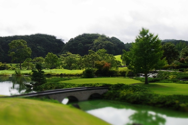 c0067646_20441175.jpg