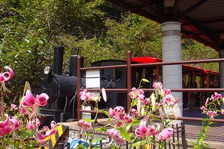 b0200747_19382248.jpg