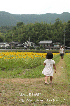 e0182147_4314370.gif