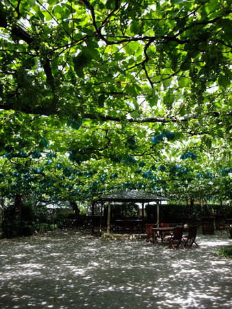 a0012950_16491522.jpg