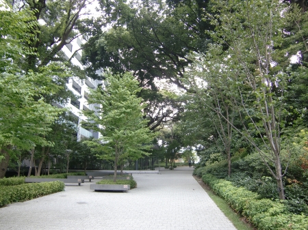 c0206352_17494051.jpg