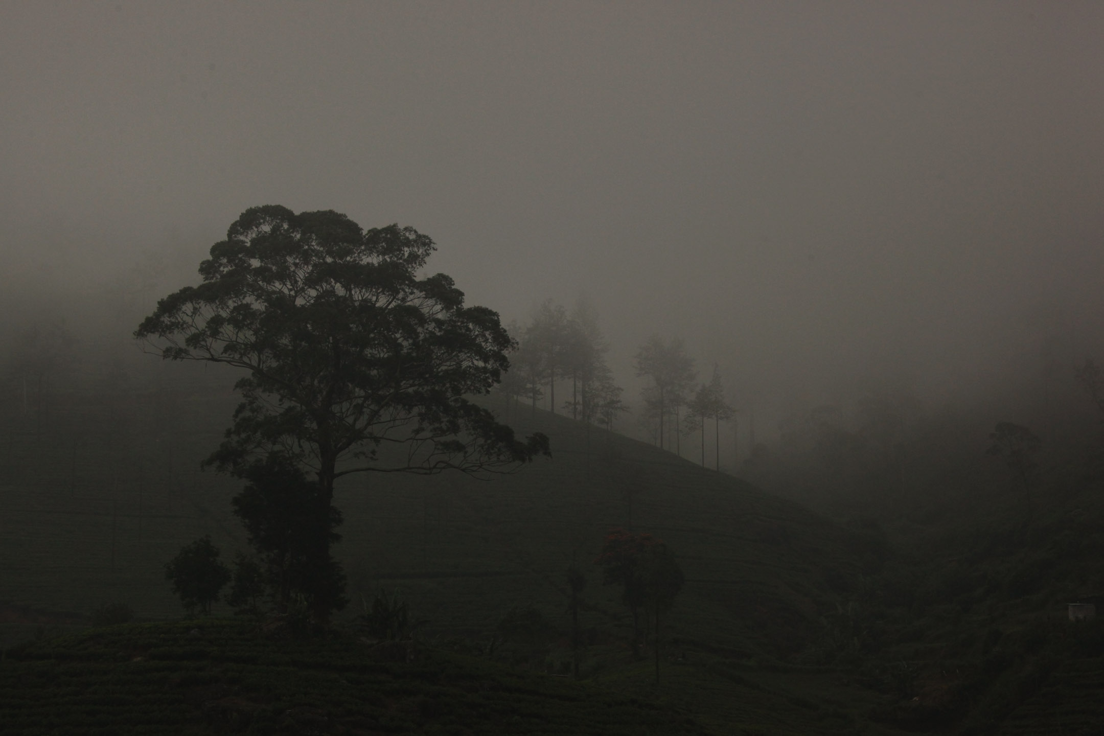 b0149365_0455945.jpg
