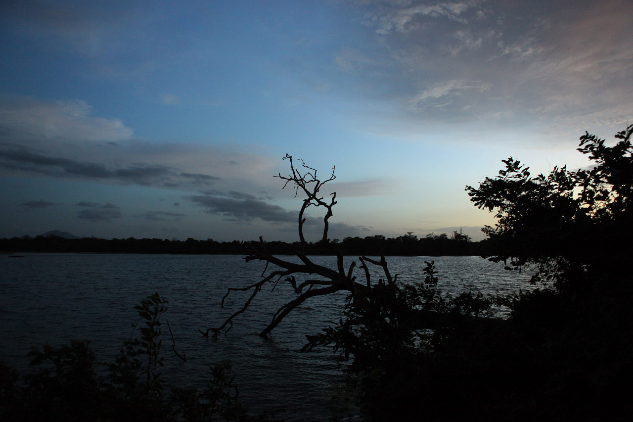 b0149365_0484670.jpg