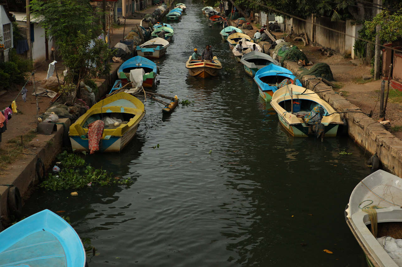 b0149365_161675.jpg