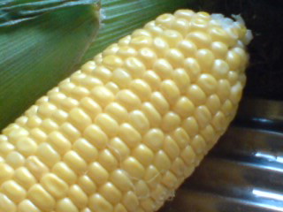 e0111365_2056160.jpg