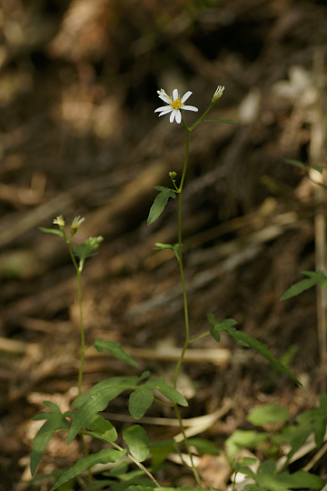 e0054067_0382044.jpg