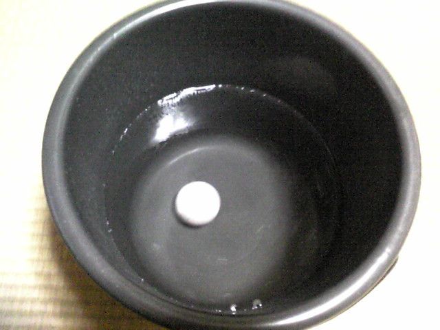 a0160571_22141847.jpg