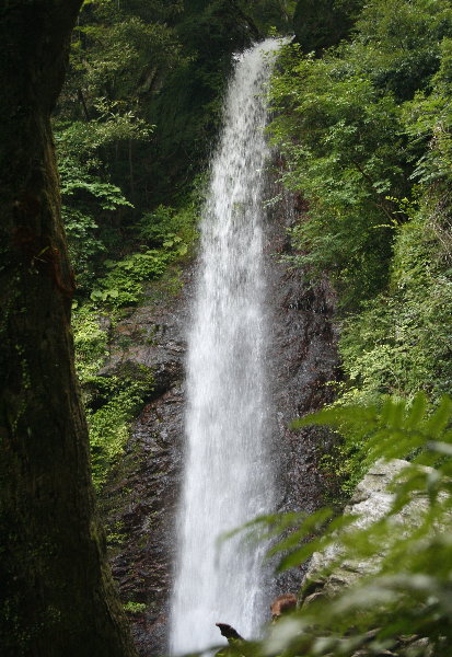 f0181173_23314993.jpg