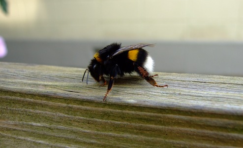 f0186476_23263157.jpg