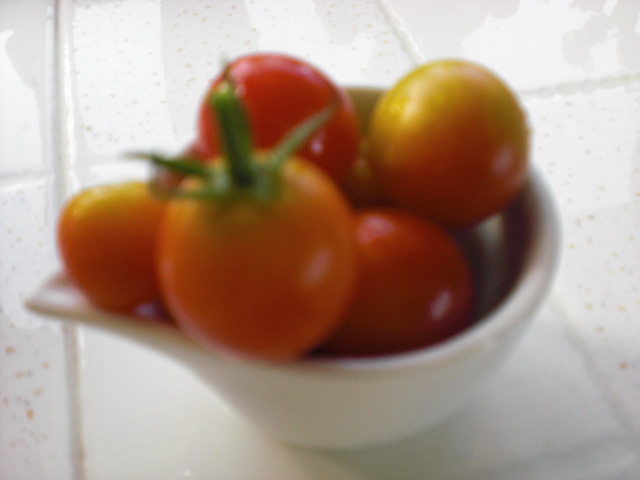 c0228378_7283796.jpg