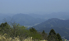 d0178580_954077.gif