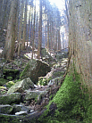 d0178580_954986.gif
