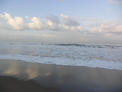 b0101284_2055746.jpg