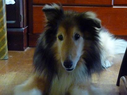 c0123890_20324740.jpg
