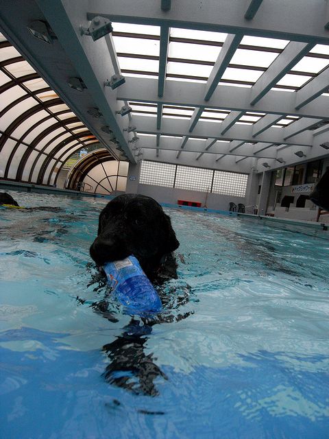 a0093592_23492286.jpg