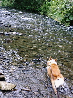 f0200795_2237614.jpg