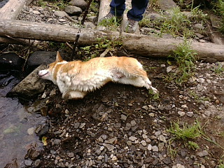 f0200795_22412677.jpg