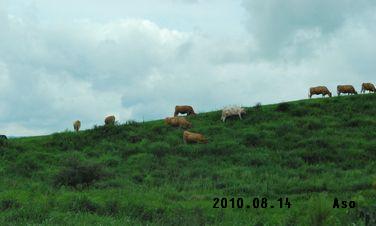 c0144696_22282155.jpg
