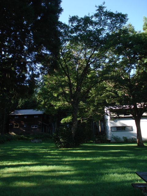 a0061599_7162993.jpg