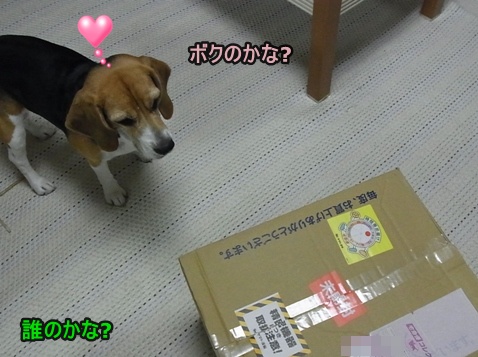 c0205806_16182334.jpg