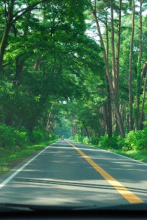 e0128909_19101366.jpg