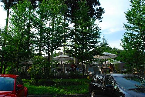 e0128909_19102856.jpg