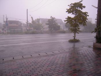 c0162212_17495384.jpg