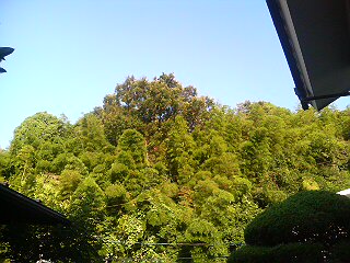 c0129314_275294.jpg