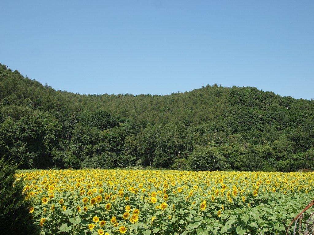 e0113915_8211746.jpg