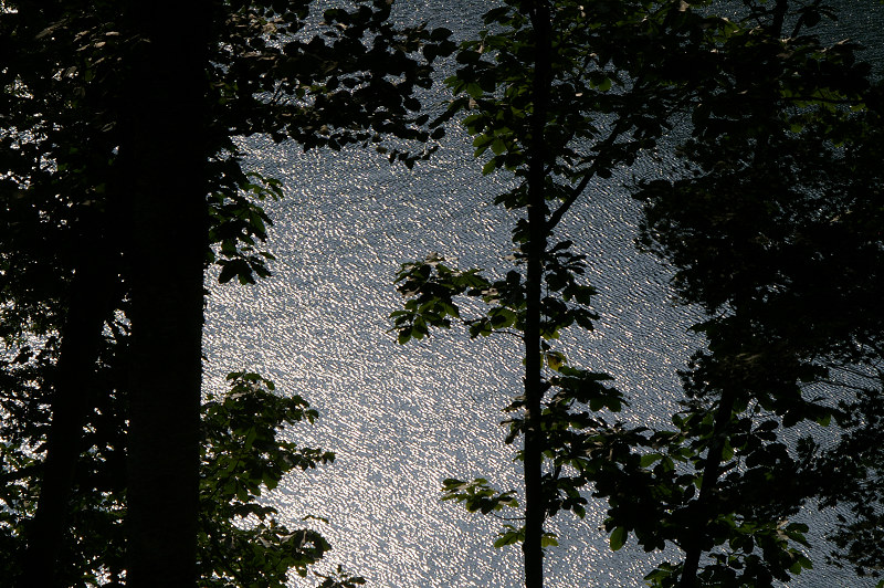 e0136424_9321546.jpg