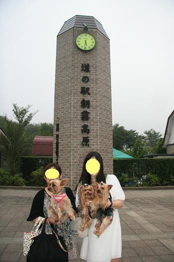 f0124830_22541025.jpg