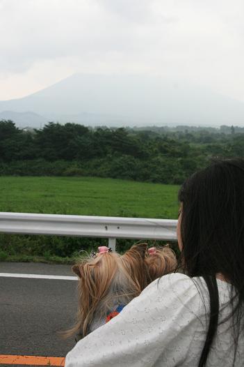 f0124830_2329361.jpg
