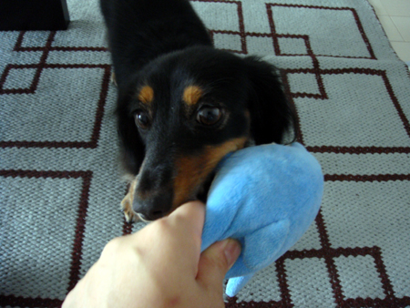 c0117831_20111472.jpg