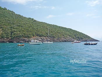 c0077533_2273484.jpg