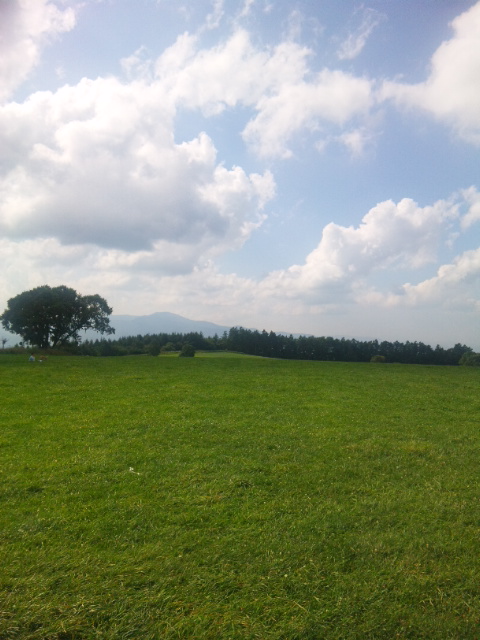 d0127833_166493.jpg