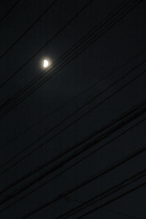 a0097735_22571692.jpg