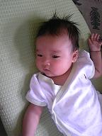 f0199940_1348585.jpg