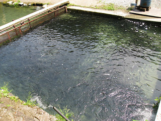 f0065341_2011339.jpg