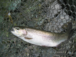 f0065341_2044295.jpg