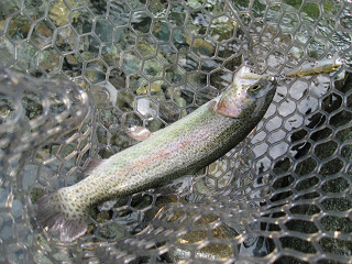 f0065341_2054419.jpg