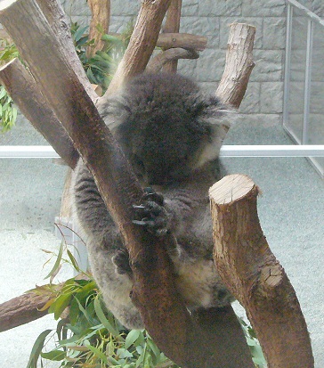f0002743_12551399.jpg
