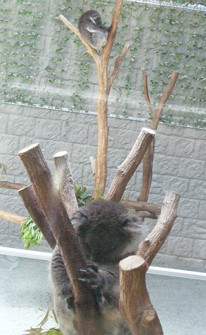 f0002743_12562195.jpg