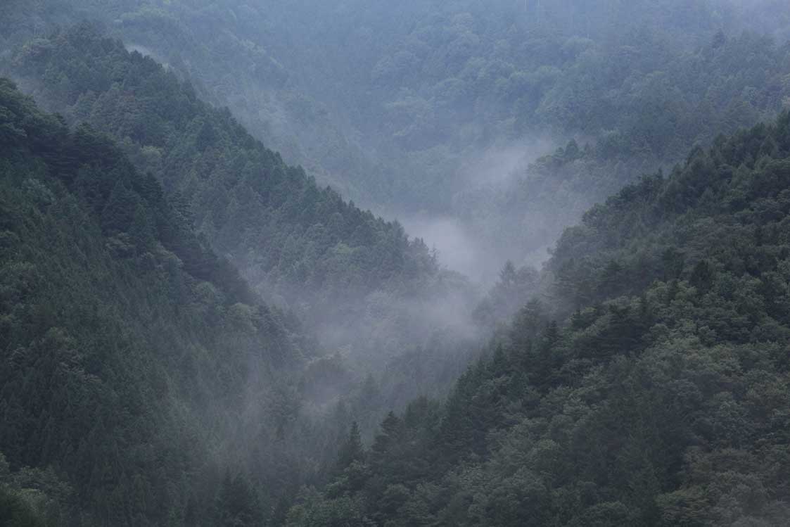d0177549_19292184.jpg