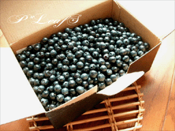 c0176651_20425487.gif