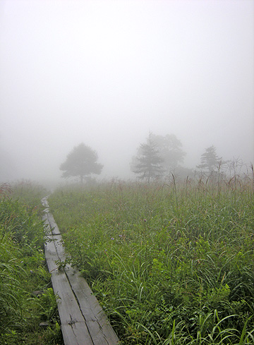 a0001354_18563820.jpg