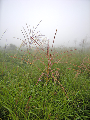 a0001354_1933583.jpg
