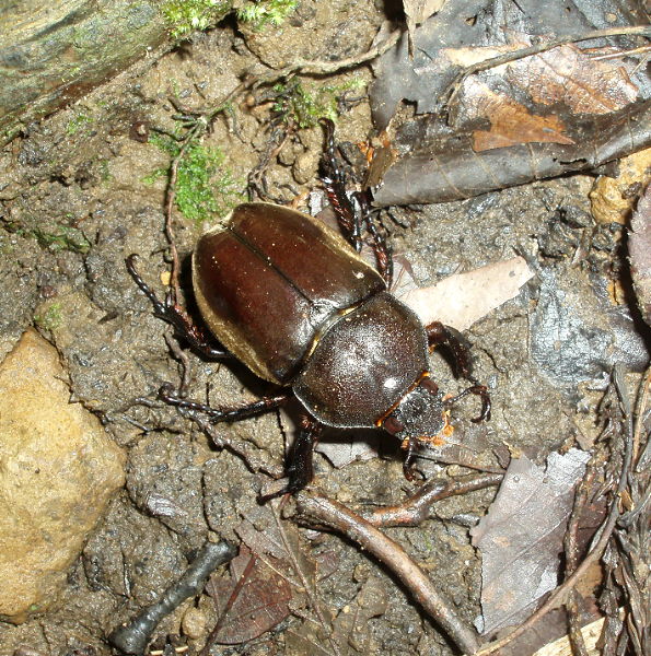 d0091754_237314.jpg