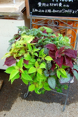 e0025655_5265062.jpg